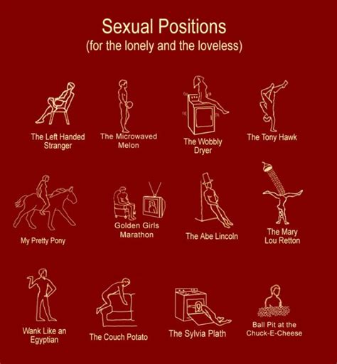 sex position chart|The Basic Sexual Positions .